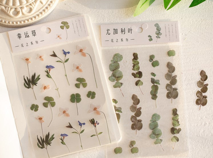 PET Blumen und Pflanzen Sticker Sheets